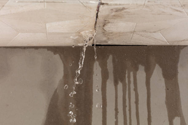 Professional Burst Pipe Cleanup technician working in Beech Island, SC